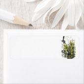 Northern Mockingbird von Audubon (Insitu)