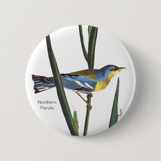 Northern Parula, Audubon, Vogelbeobachter Birdwatc Button (Vorderseite)