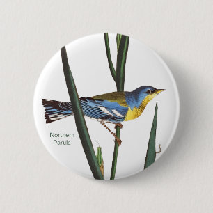 Northern Parula, Audubon, Vogelbeobachter Birdwatc Button