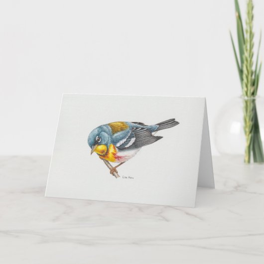 Northern Parula Warbler Art Card Dankeskarte (Vorderseite)