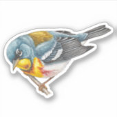 Northern Parula Warbler Sticker (Vorderseite)