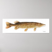 Northern Pike Art Poster (Vorne)