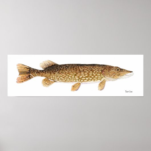 Northern Pike Art Poster (Vorne)