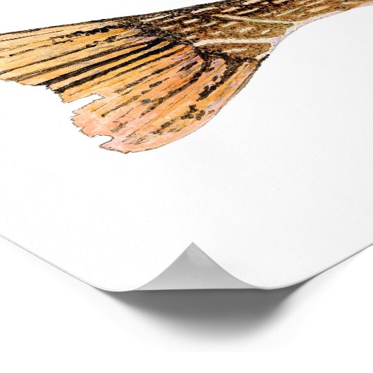 Northern Pike Art Poster (Ecke)