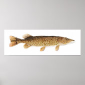 Northern Pike Art Poster (Vorne)