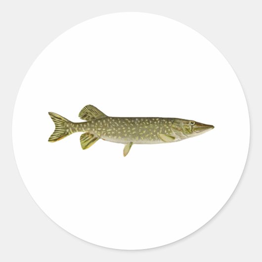 Northern Pike Art Runder Aufkleber (Vorderseite)