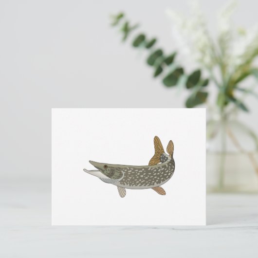 NORTHERN PIKE POSTKARTE (Stehend Vorderseite)