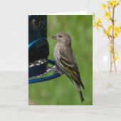 Northern Pine Siskin - Framework Art Card Karte (Gelbe Blume)