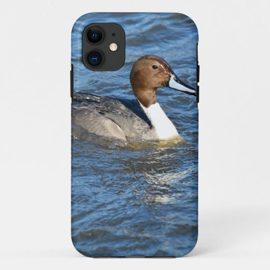 Northern Pintail Duck Case-Mate iPhone Hülle (Rückseite)