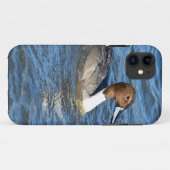 Northern Pintail Duck Case-Mate iPhone Hülle (Rückseite (Horizontal))