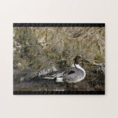Northern Pintail Duck Puzzle (Horizontal)