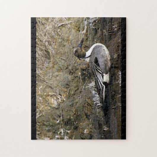 Northern Pintail Duck Puzzle (Vertikal)