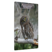 Northern Pygmy Owl Clipboard Klemmbrett (Rechts)