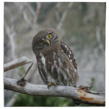 Northern Pygmy Owl Cloud Napkin