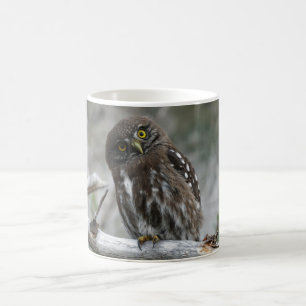 Northern Pygmy Owl Coffee Tasse
