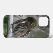 Northern Pygmy Owl iPhone 13 Mini Fall Case-Mate iPhone Hülle (Rückseite (Horizontal))