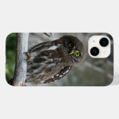 Northern Pygmy Owl iPhone 14 Hülle (Rückseite (Horizontal))