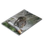 Northern Pygmy Owl Notebook Notizblock (Linke Seite)