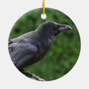 Northern Raven Keramik Ornament