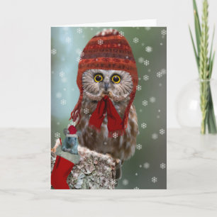 Northern Saw-whet Owl Christmas Feiertagskarte