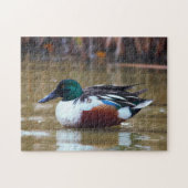 Northern Shoveler Duck am Teich Puzzle (Horizontal)