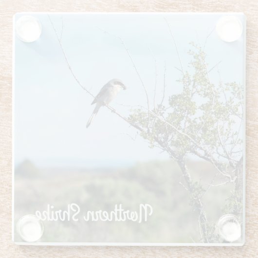 Northern Shrike Glasuntersetzer (Rückseite)