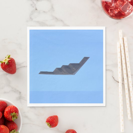 Northrop Grumman B-2 Geist Serviette (Beispiel)