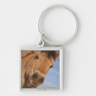 Northumberland, England 2 Schlüsselanhänger