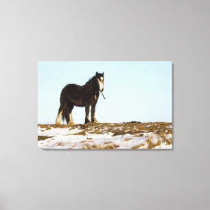 Northumberland, England 3 Leinwanddruck