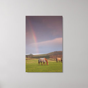 Northumberland, England Leinwanddruck