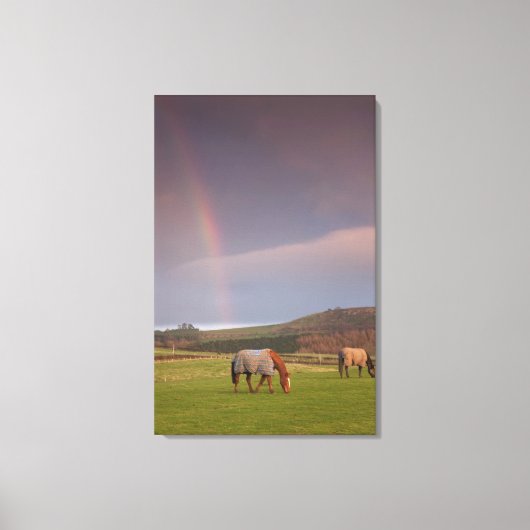 Northumberland, England Leinwanddruck (Vorderseite)