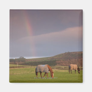 Northumberland, England Magnet