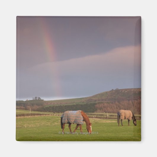 Northumberland, England Magnet (Vorne)