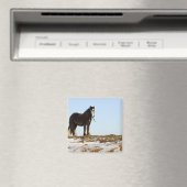 Northumberland, England Magnet (In Situ (Geschirrspüler))