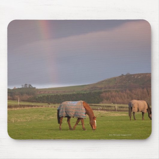 Northumberland, England Mousepad (Vorne)