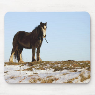Northumberland, England Mousepad