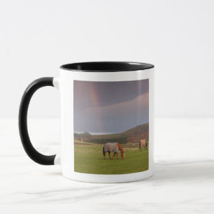 Northumberland, England Tasse