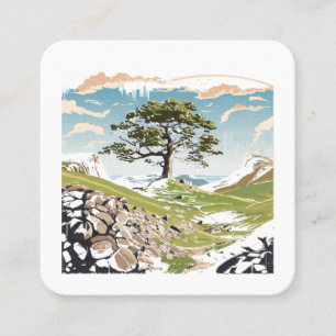Northumberland Nationalpark Sycamore Gap Tree Quadratische Visitenkarte