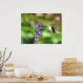 Northwoods Hummingbird Poster (Küche)