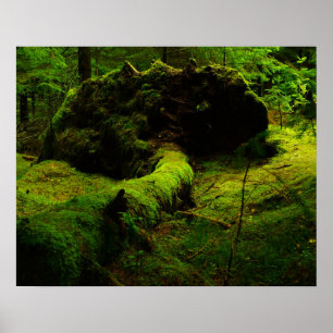 Norway in the wood poster