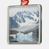 Norwegen, Gletscher und Eisberg Ornament Aus Metall (Links)