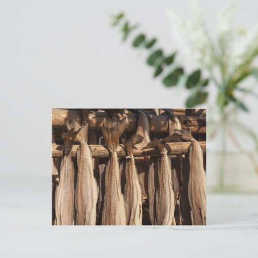 Norwegen Lofoten Stockfish Postkarte (Stehend Vorderseite)