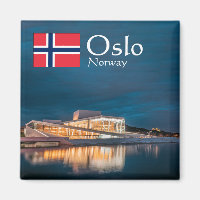 Norwegen Oslo Souvenir