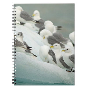 Norwegen, Svalbard-Archipel, Spitsbergen Notizblock