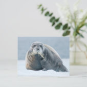 Norwegen, Svalbard Archipelago, Spitzbergen 4 Postkarte (Stehend Vorderseite)