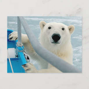 Norwegen, Svalbard Archipelago, Spitzbergen 5 Postkarte