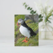 Norwegen, Svalbard Archipelago, Spitzbergen 9 Postkarte (Stehend Vorderseite)