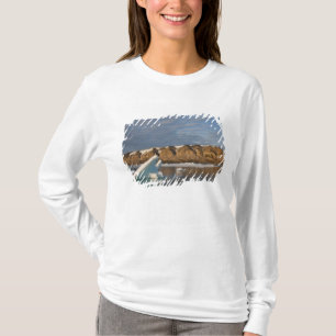 Norwegen, Svalbard, Insel Spitsbergen, Sonnenunter T-Shirt