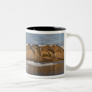 Norwegen, Svalbard, Insel Spitsbergen, Sonnenunter Zweifarbige Tasse
