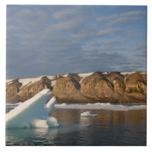 Norwegen, Svalbard, Spitsbergen Island, Setting Fliese